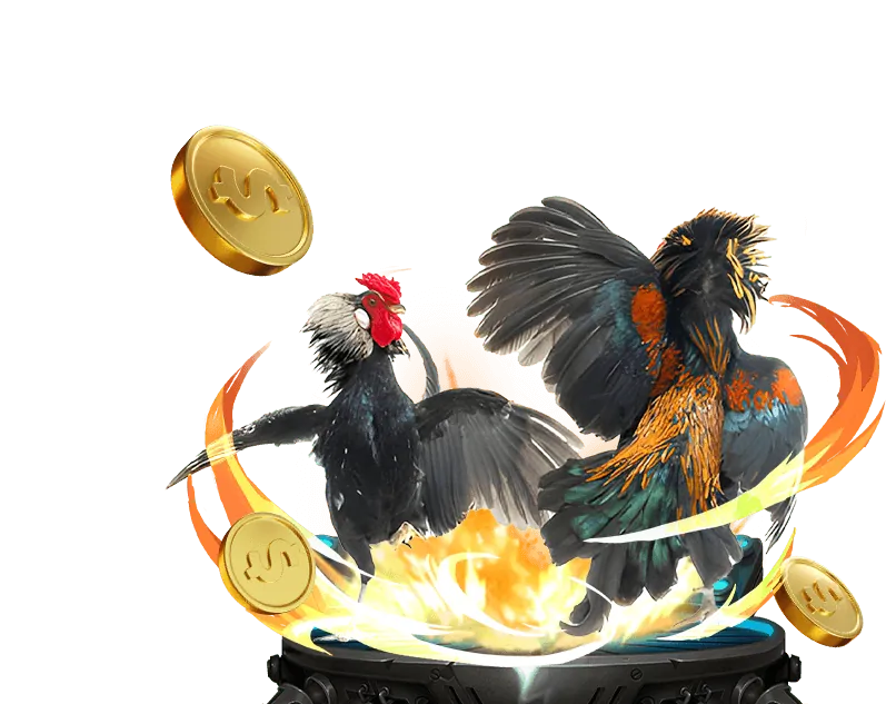 Hình ảnh minh họa chiến lược đá gà