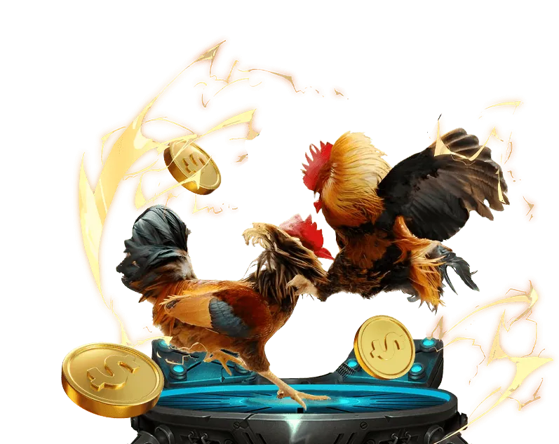 Giới thiệu chương trình VIP và lợi ích